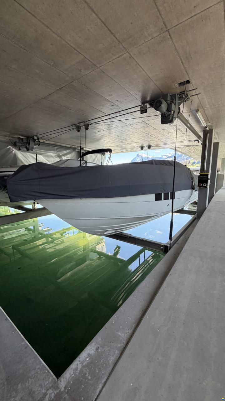 Windy Coho 29