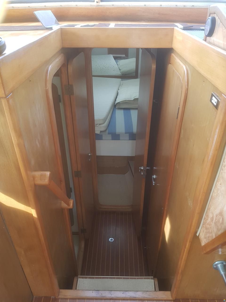 Piantoni Onda Azzurra