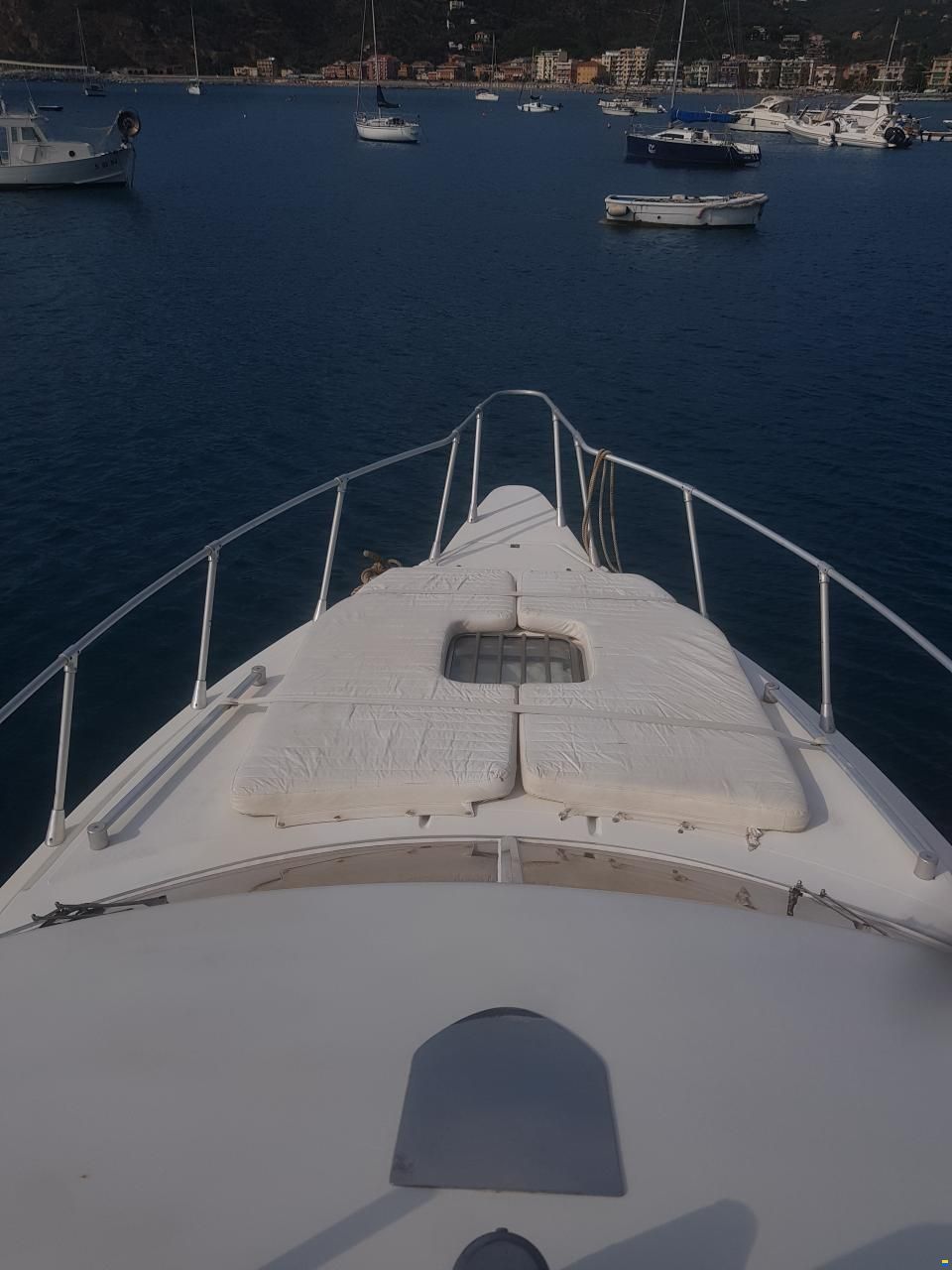 Piantoni Onda Azzurra