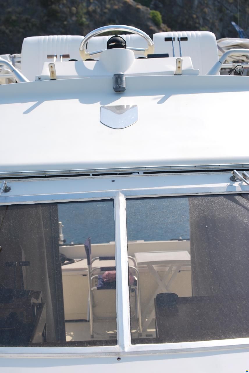 Piantoni Onda Azzurra
