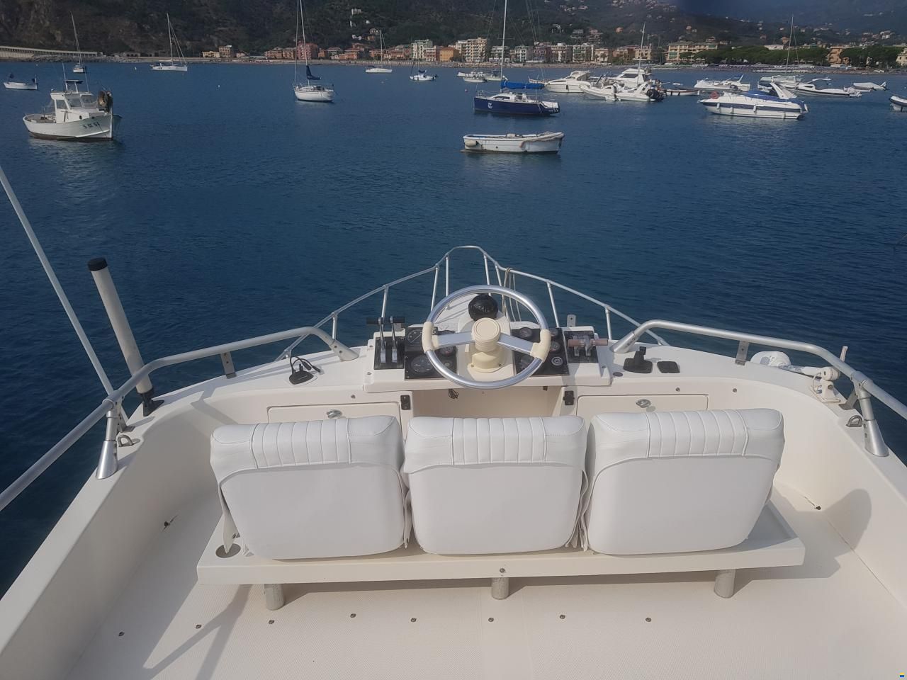 Piantoni Onda Azzurra