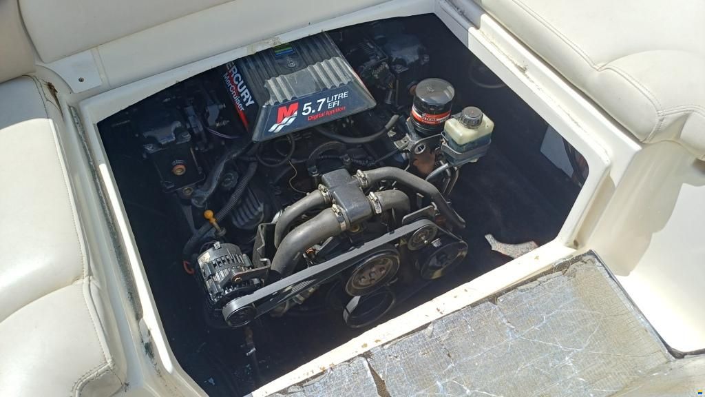 Stingray 240 LR