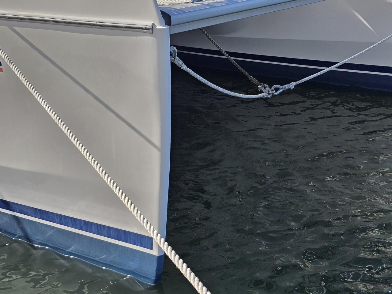 Leopard 40