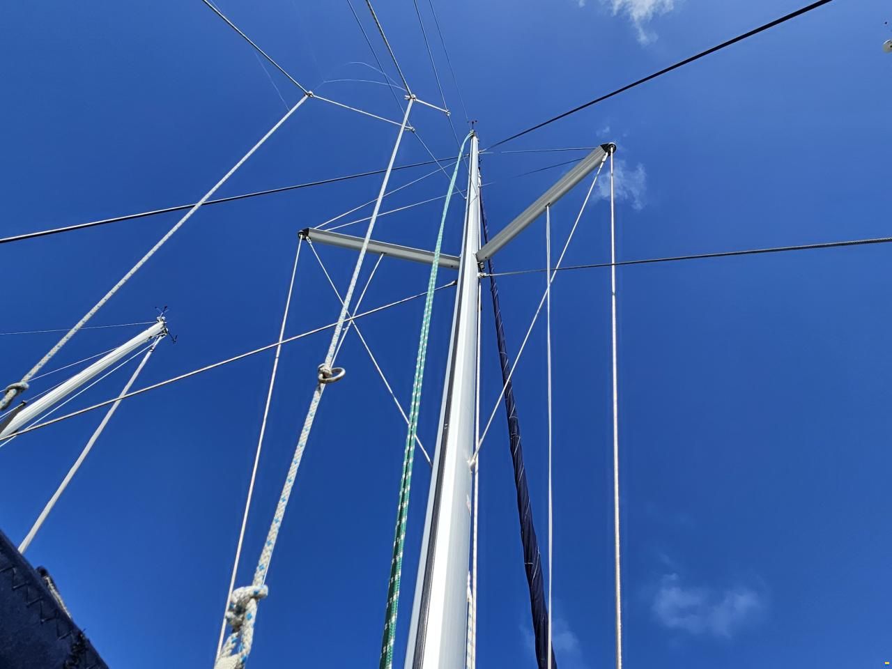 Leopard 40