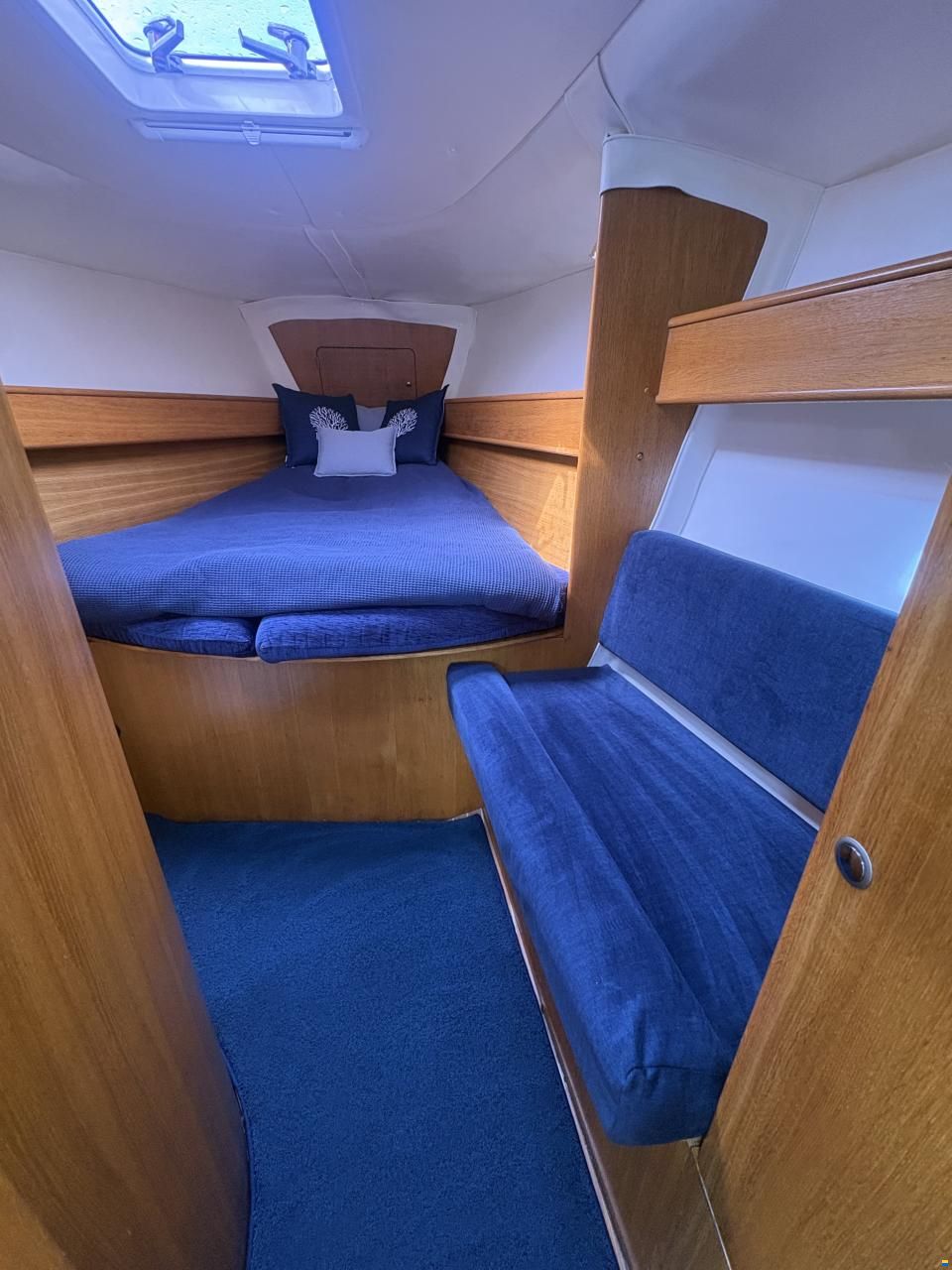 Delphia 40