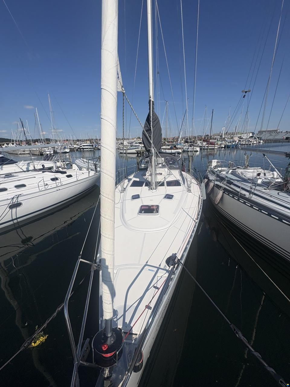 Delphia 40