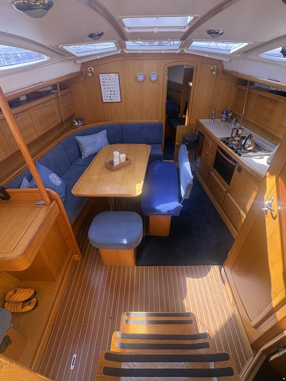 Delphia 40