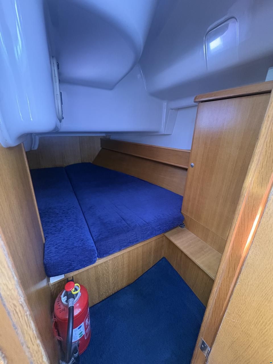 Delphia 40