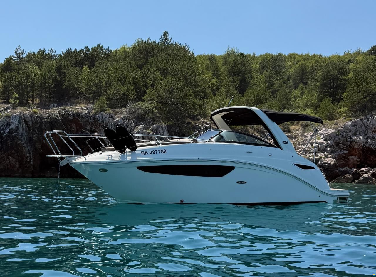 Sea Ray Sundancer 265