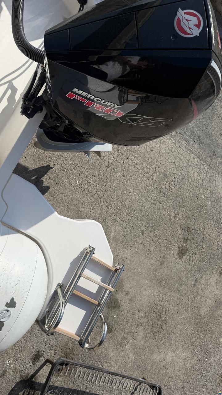 Selva D800 Mercury V8 Racing 300