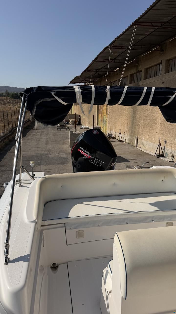 Selva D800 Mercury V8 Racing 300