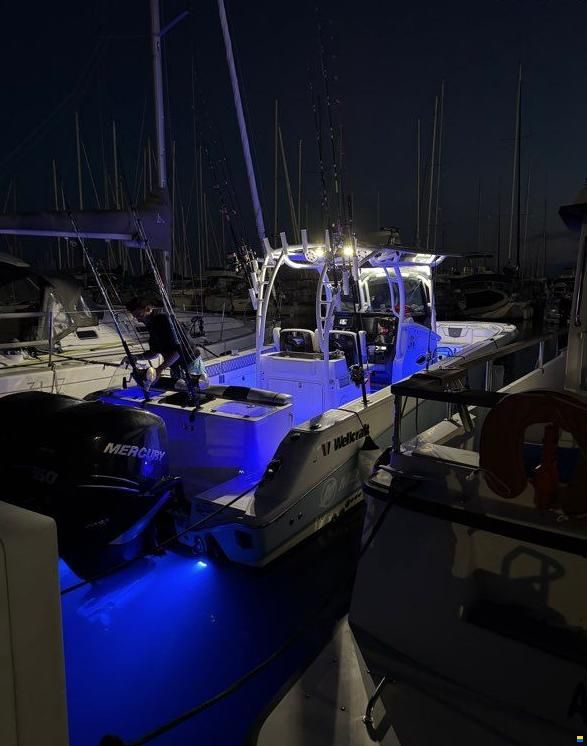 Wellcraft 302