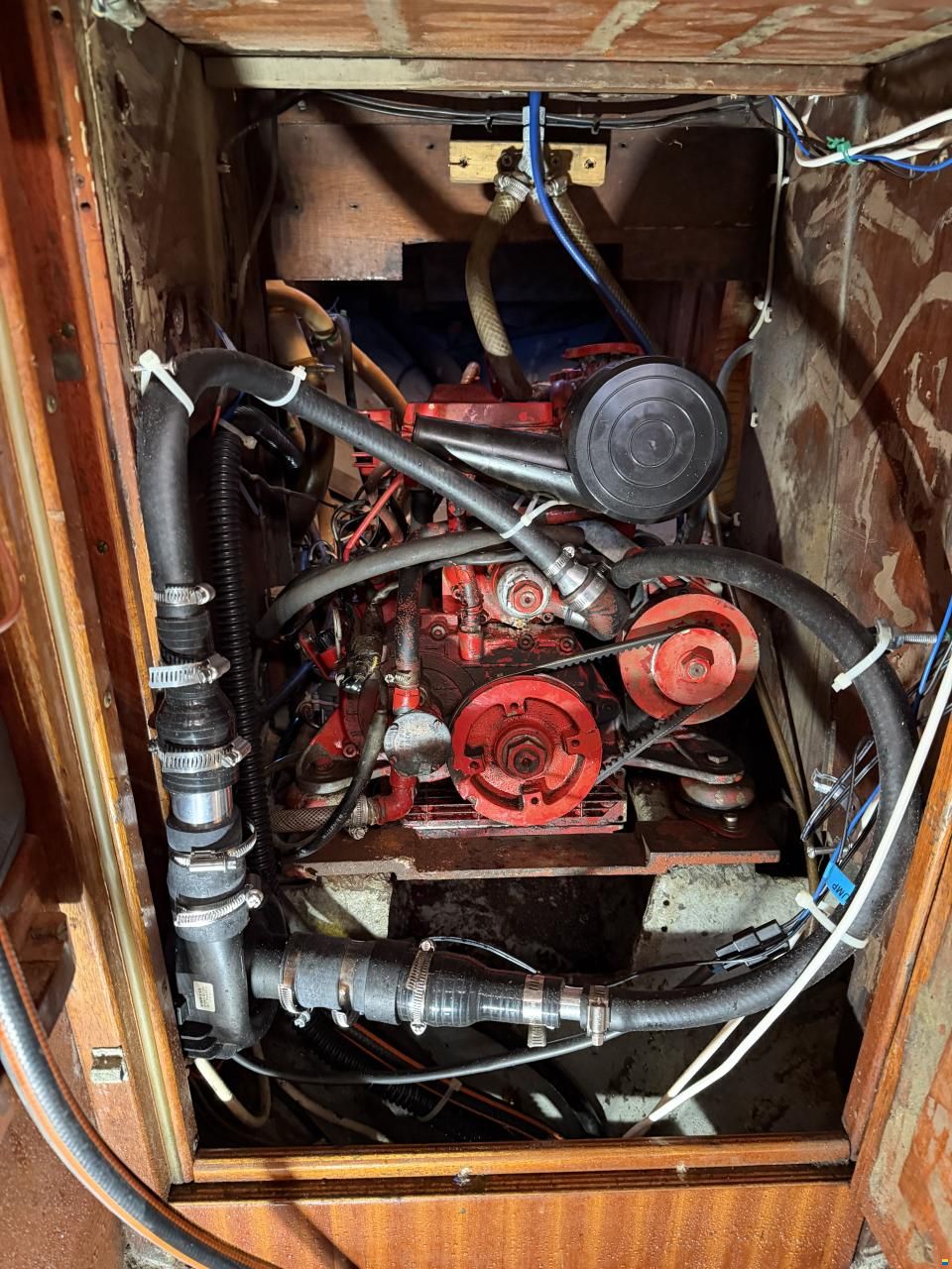 Hallberg P29