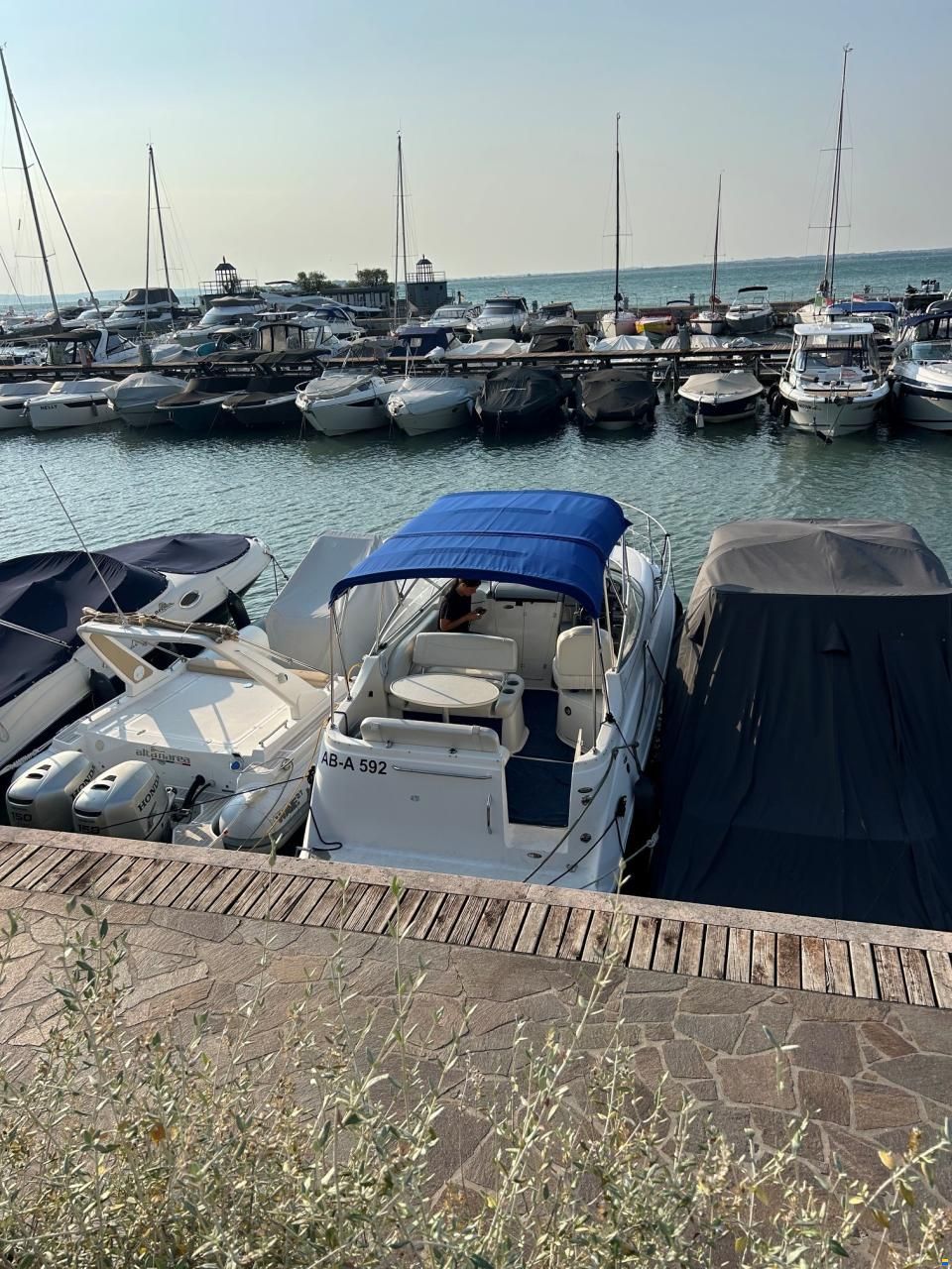 Bayliner 245