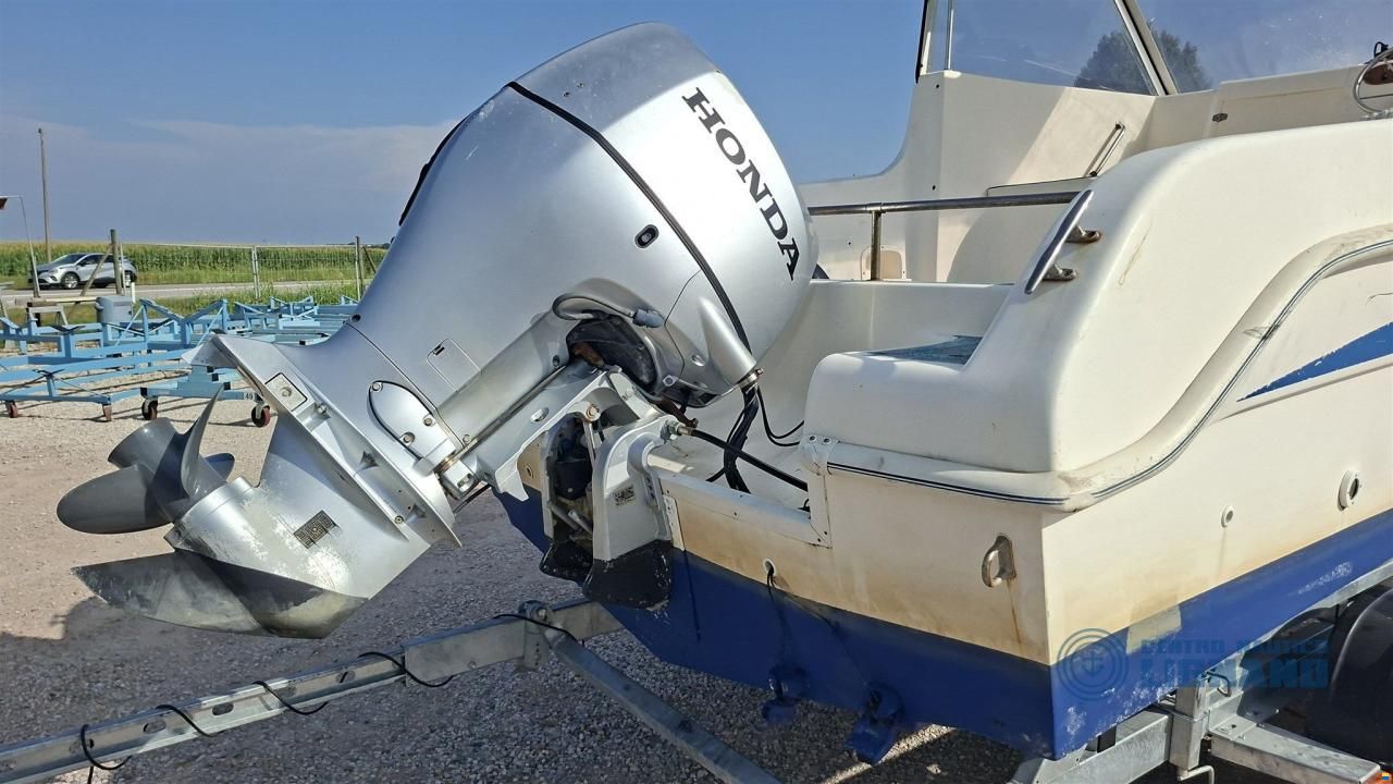 Saver Manta 600 Fish