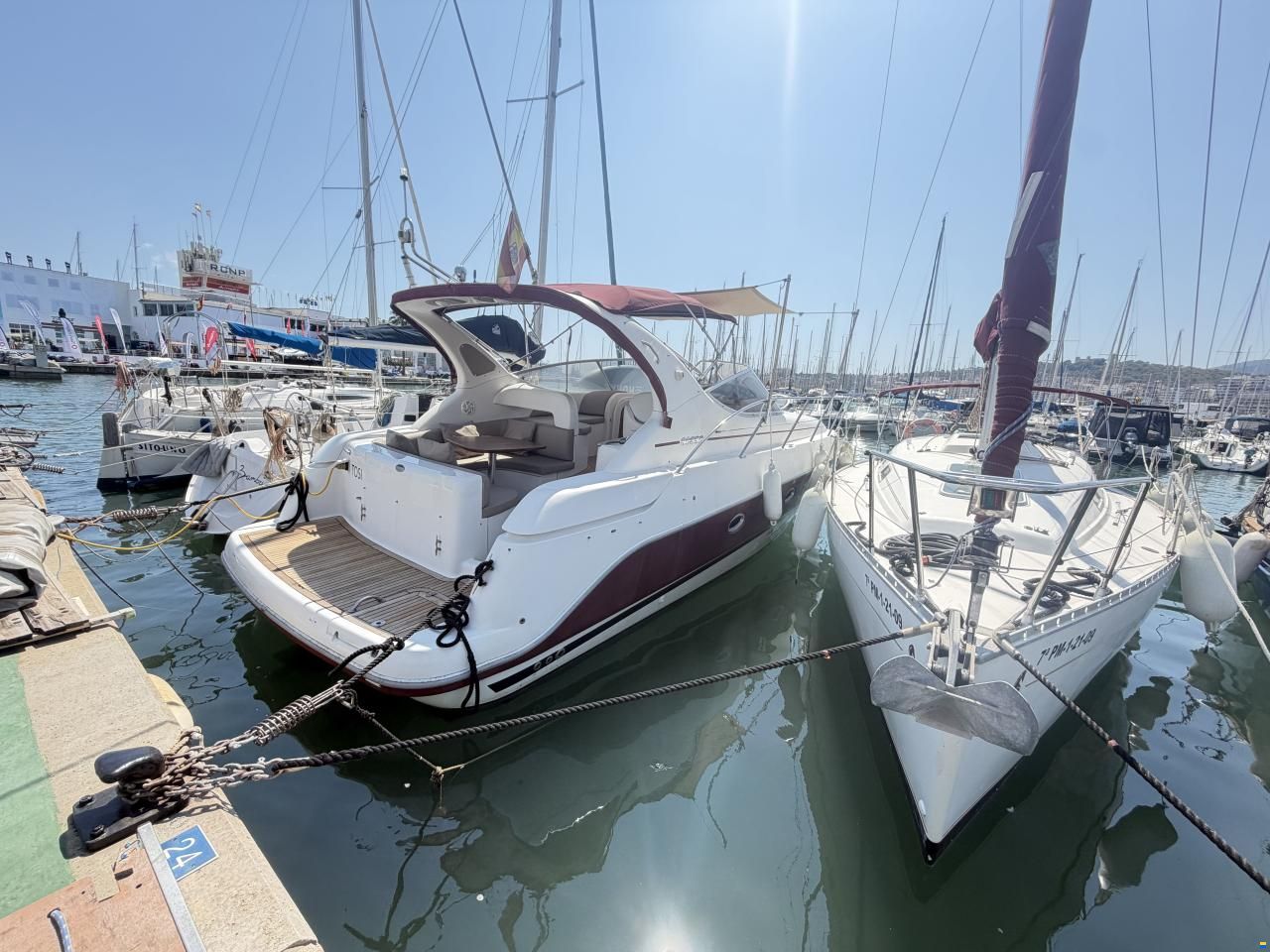 Sessa Oyster 35