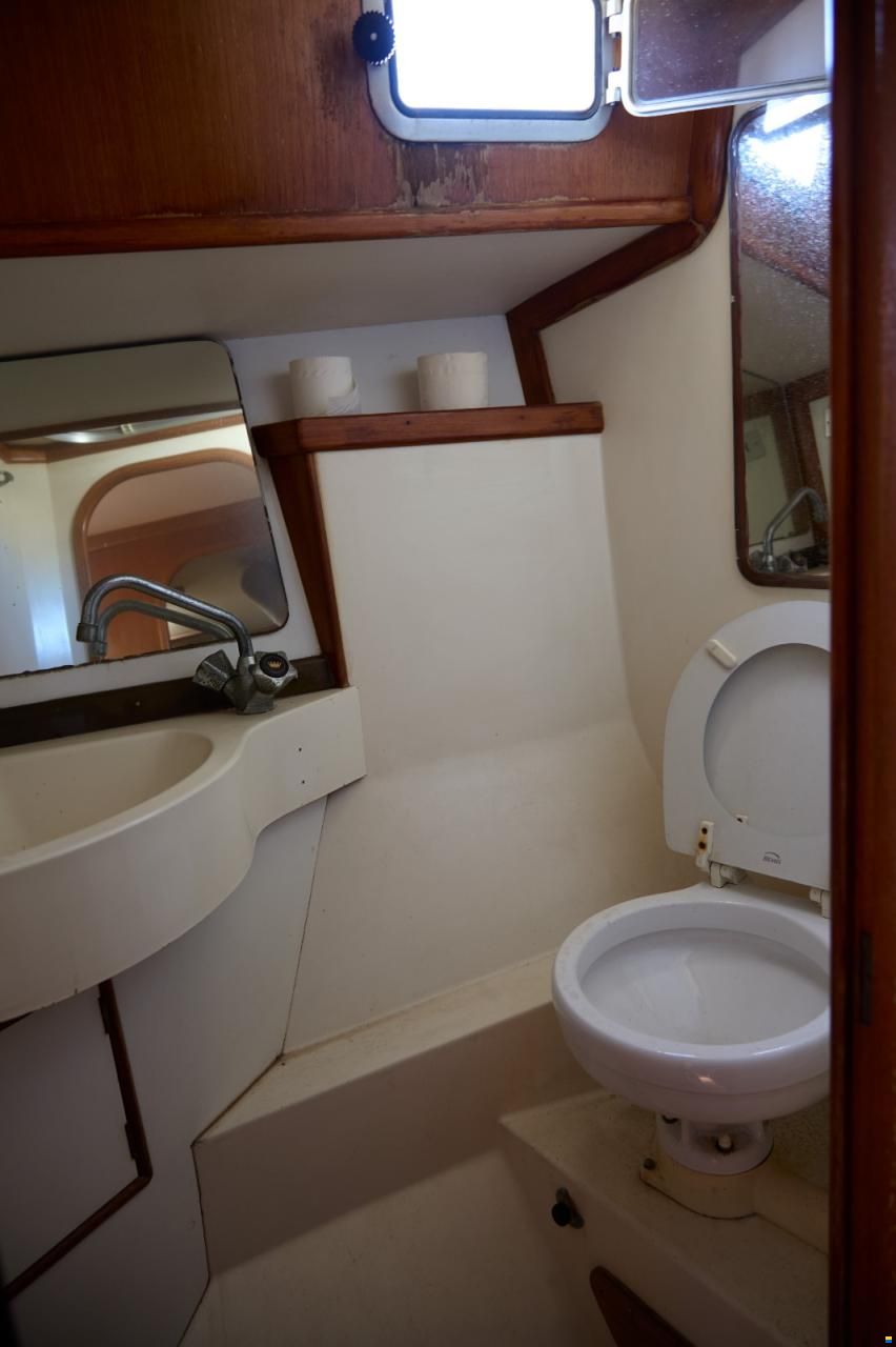 Belliure 41