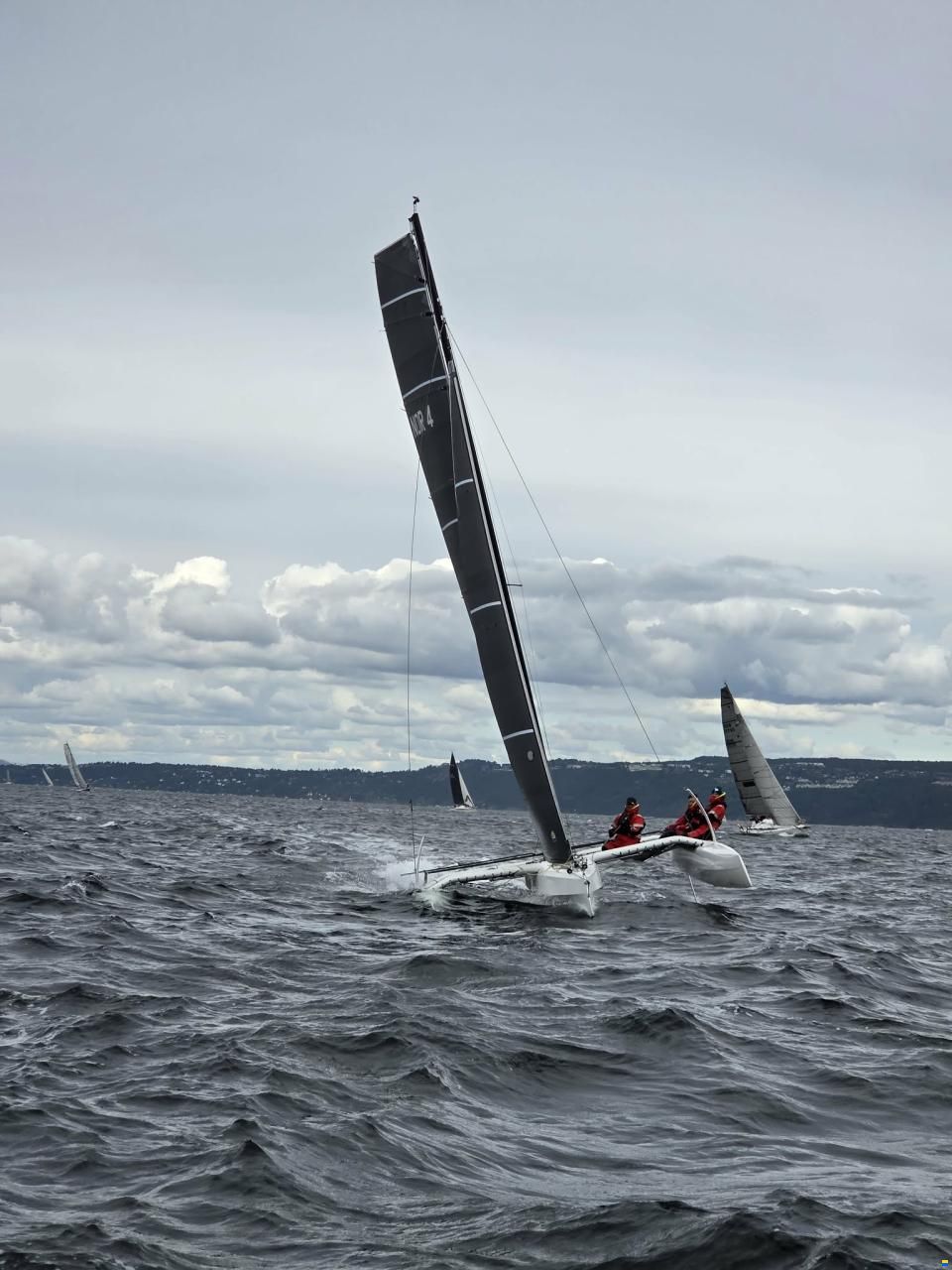 SeaCart 26