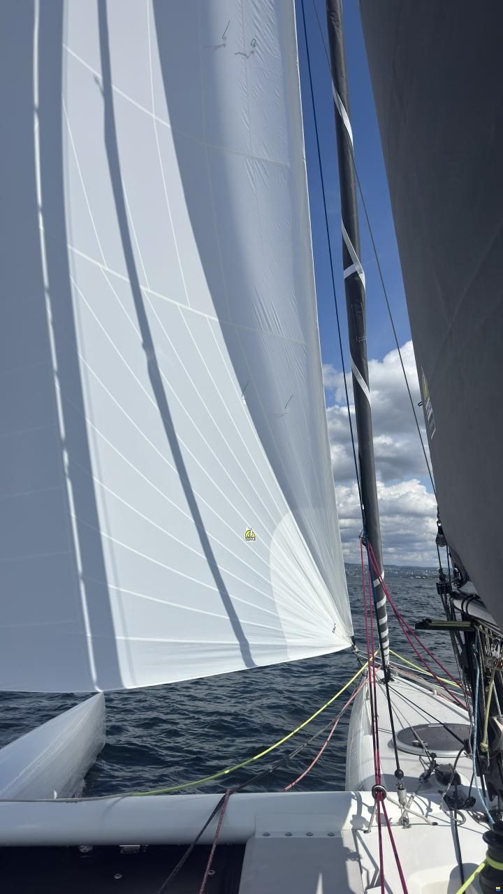 SeaCart 26