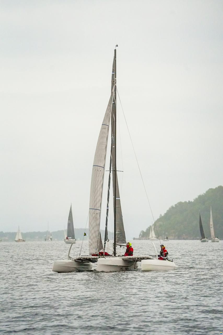 SeaCart 26