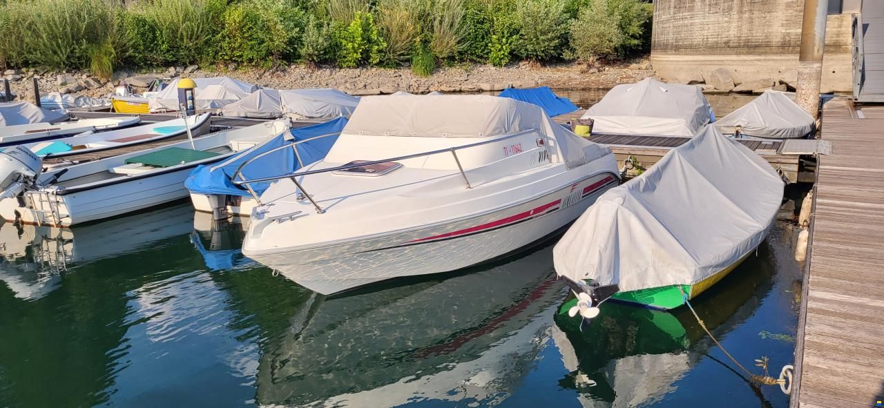 Acquaviva Winner 19