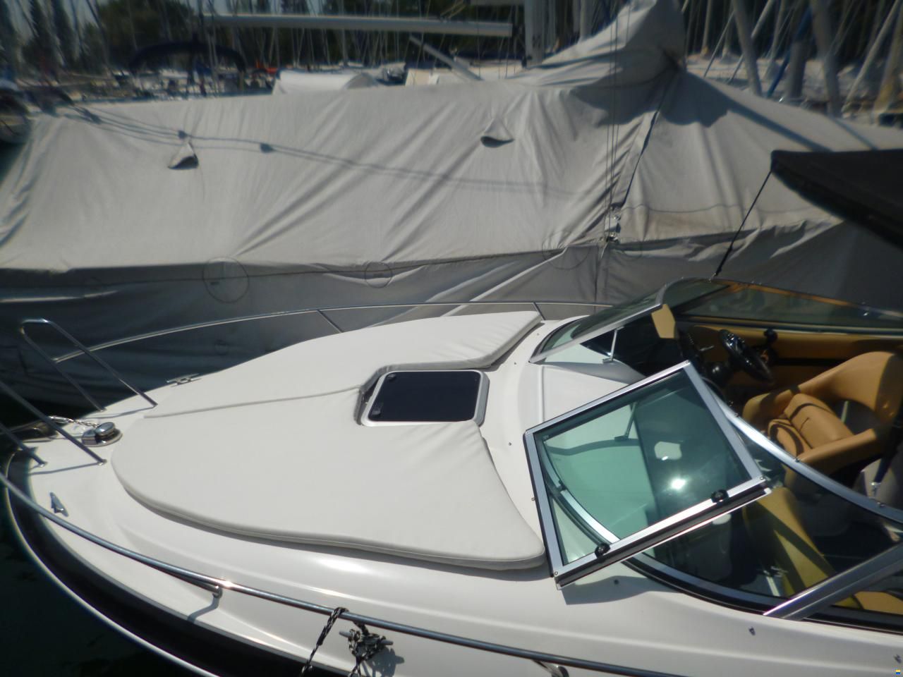 Viper 243