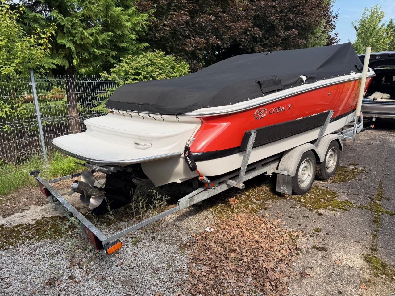 Cobalt 230
