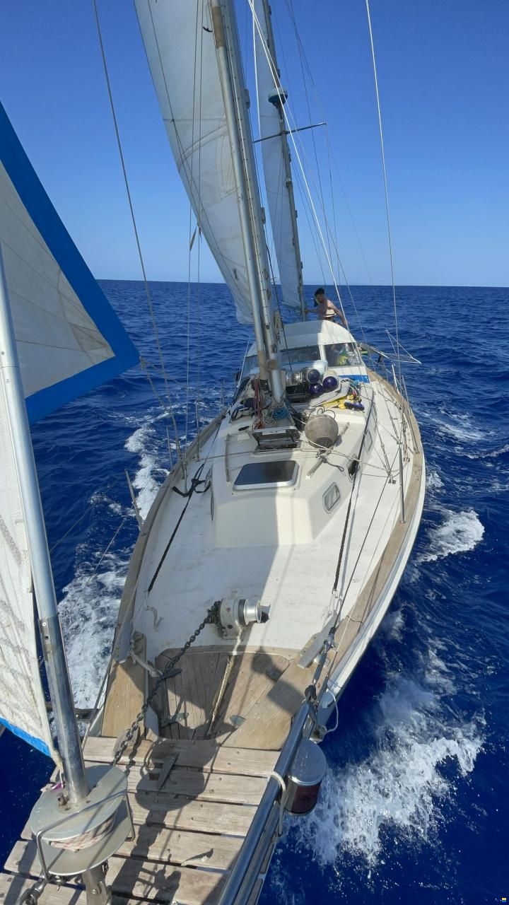 Hallberg-Rassy 41