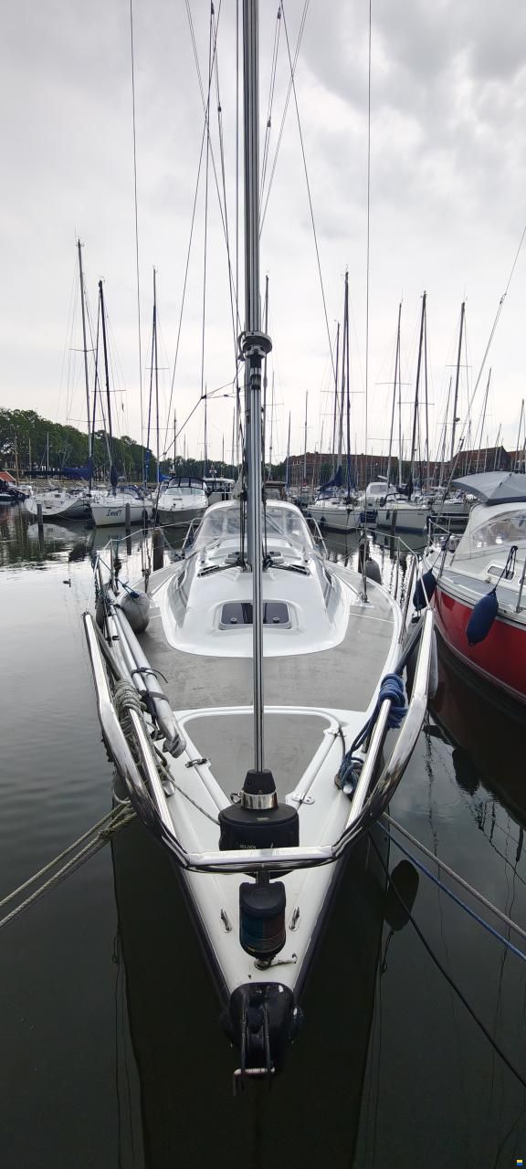 Dehler Super mooie dehler 31 top