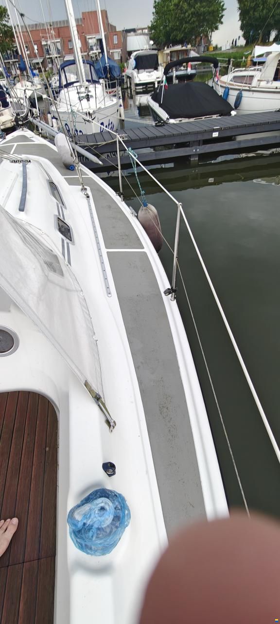 Dehler Super mooie dehler 31 top