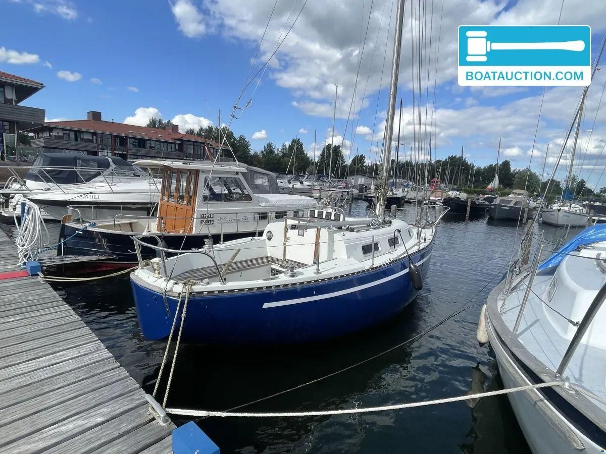 Martin 29