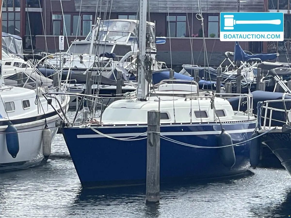 Martin 29