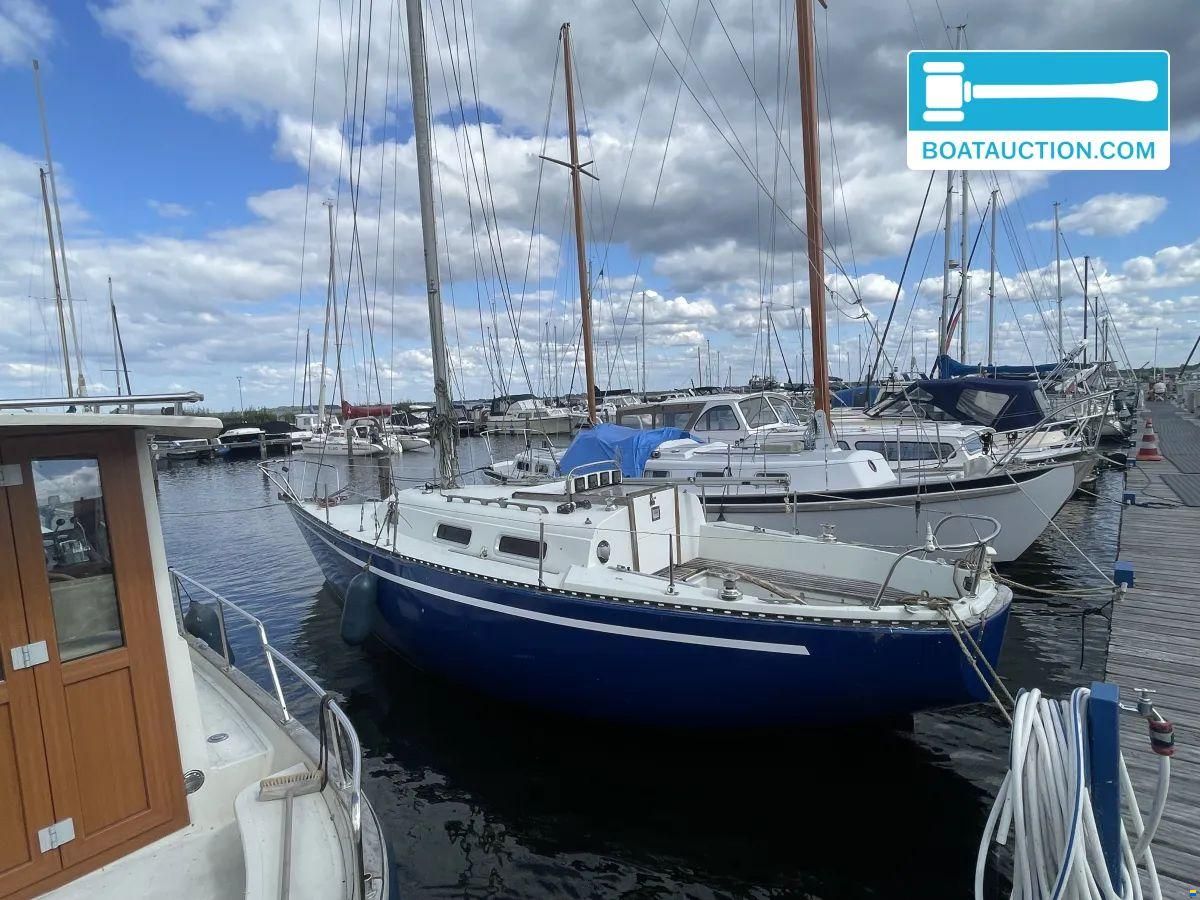 Martin 29