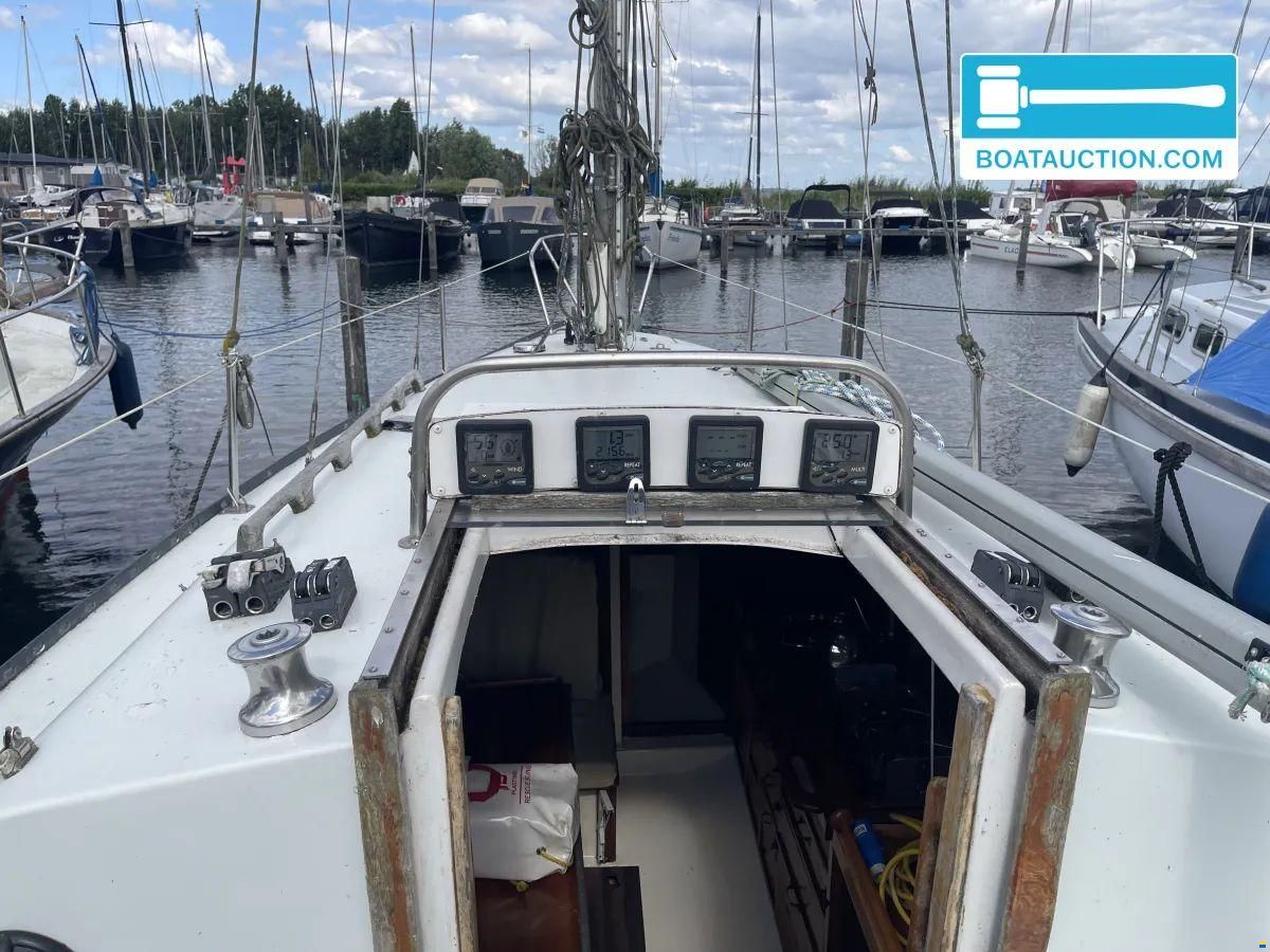 Martin 29