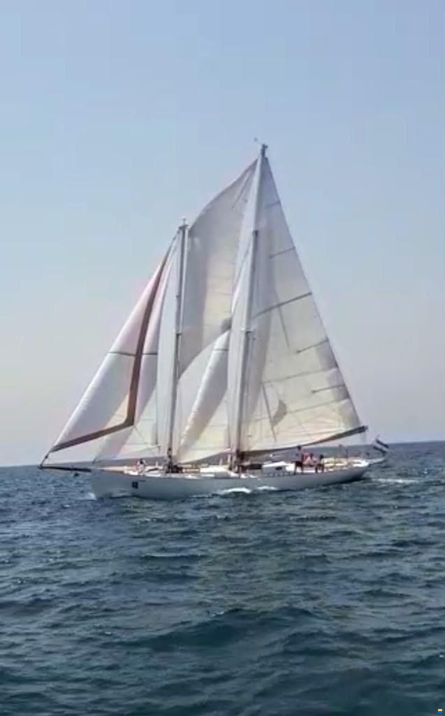 Ambrosi Sciarelli 50