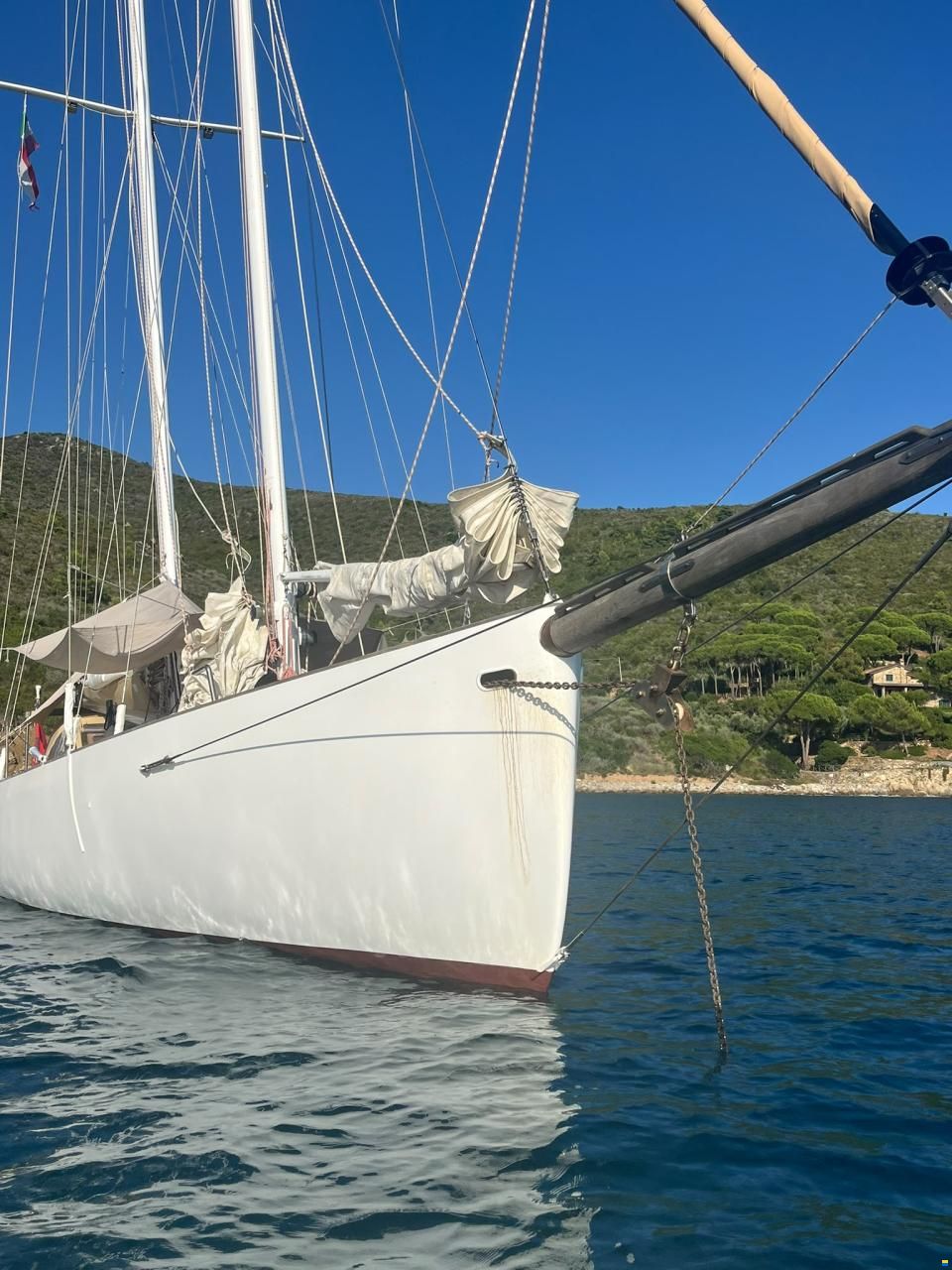 Ambrosi Sciarelli 50