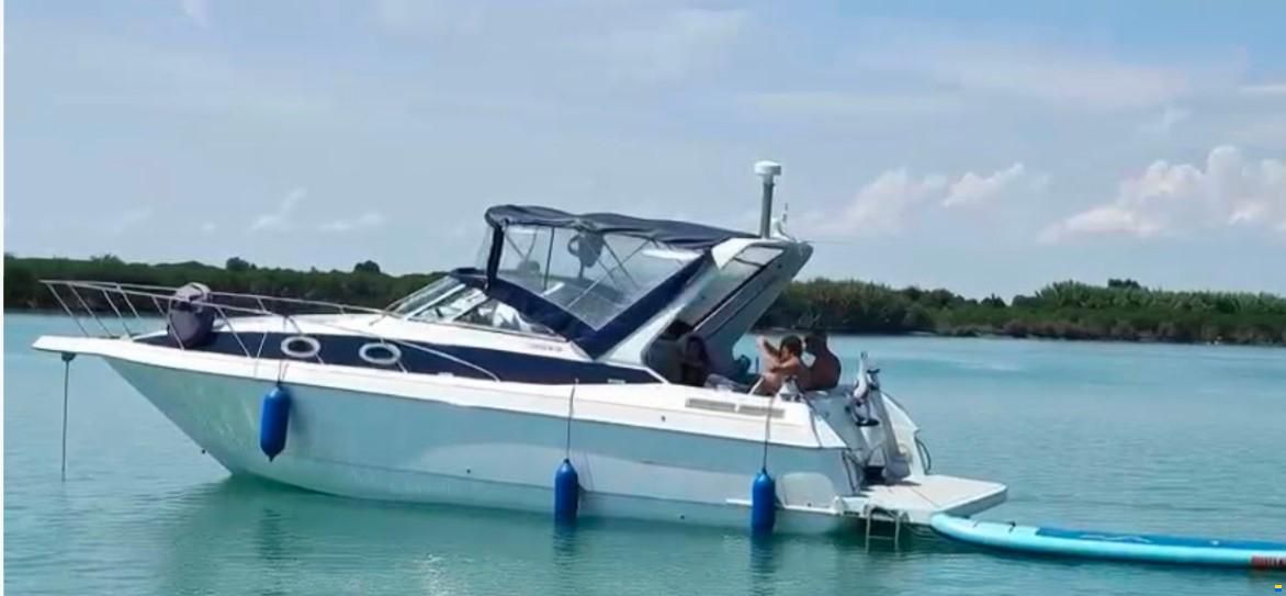 Bavaria 38 Sport