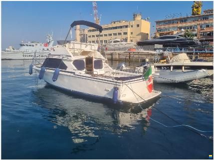 Bertram Yacht 28 flybridge