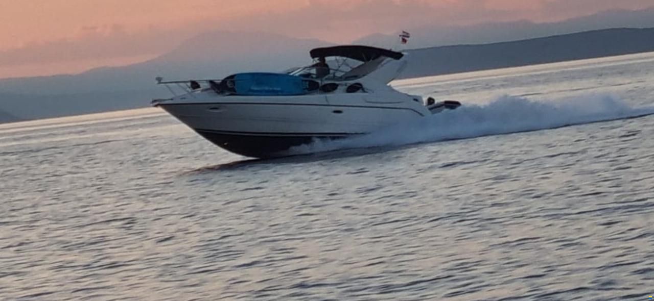 Bayliner 3055 Cierra