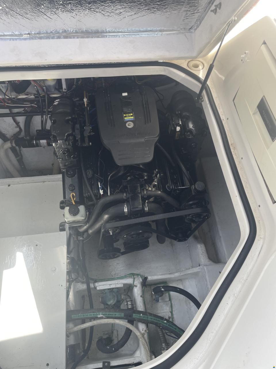 Bayliner 3055 Cierra