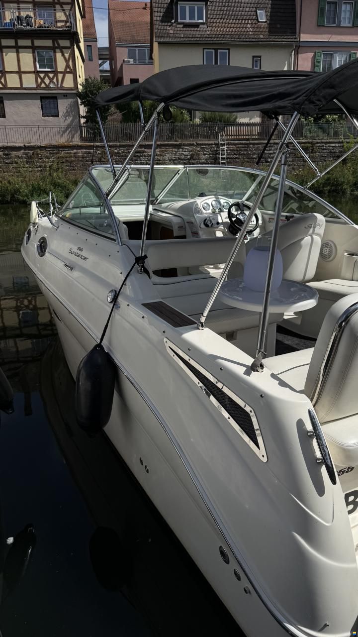 Sea Ray er 255