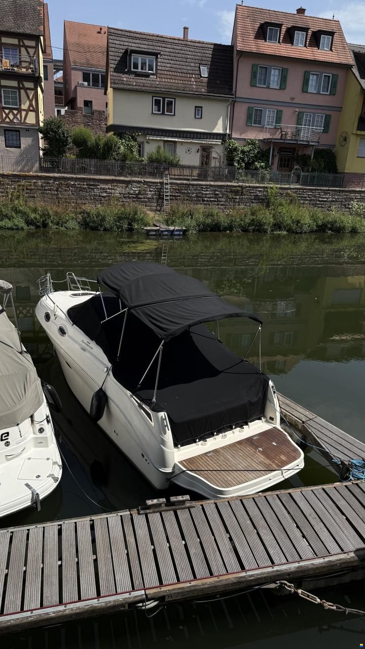 Sea Ray er 255