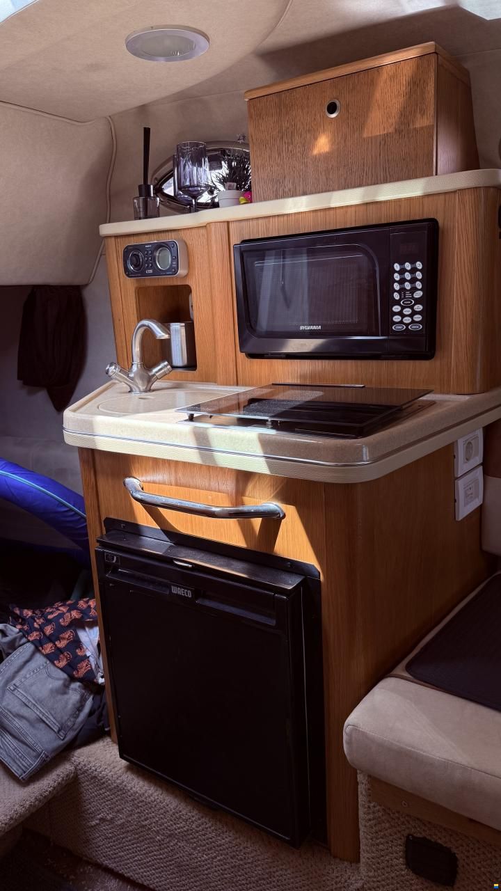 Sea Ray er 255