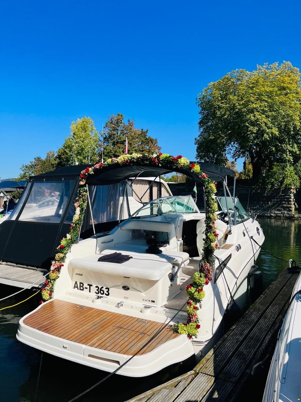 Sea Ray er 255