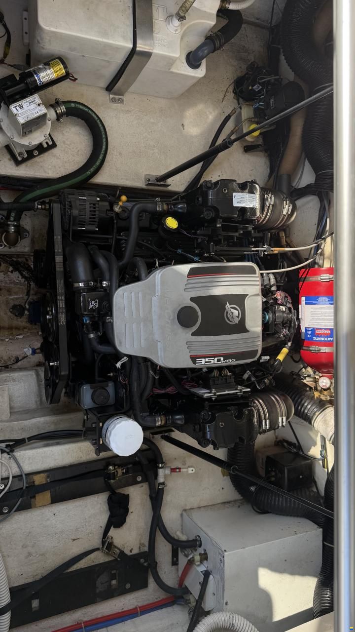 Sea Ray er 255