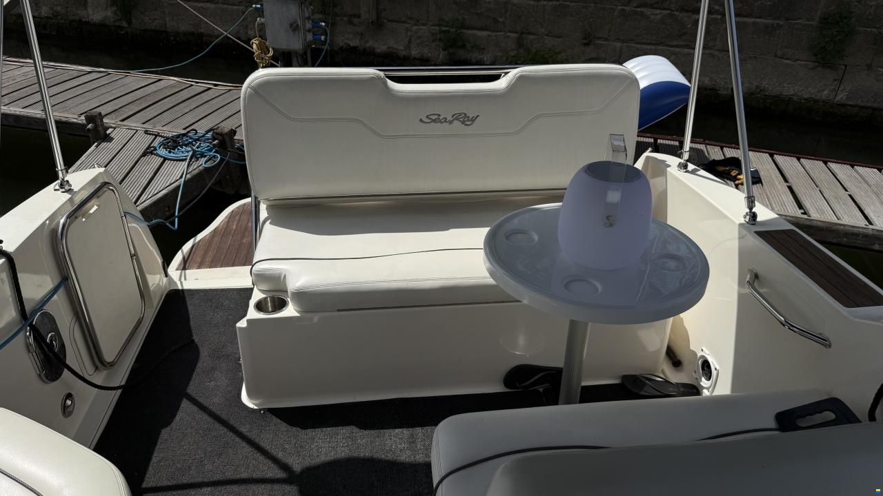 Sea Ray er 255