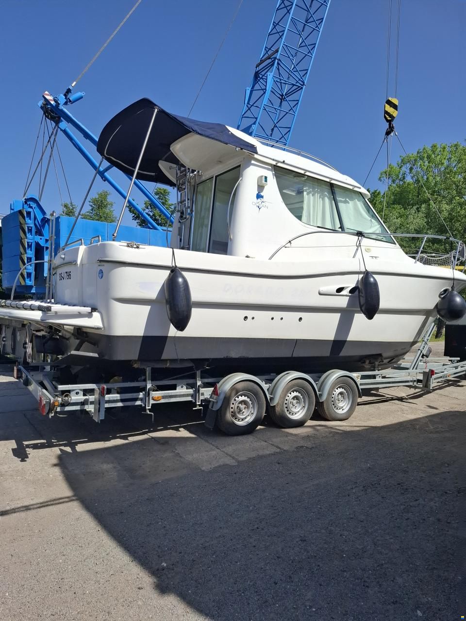 Sessa Dorado 28