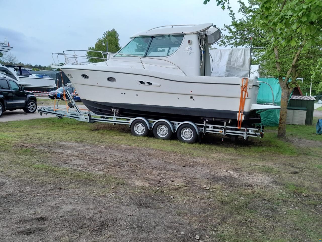 Sessa Dorado 28