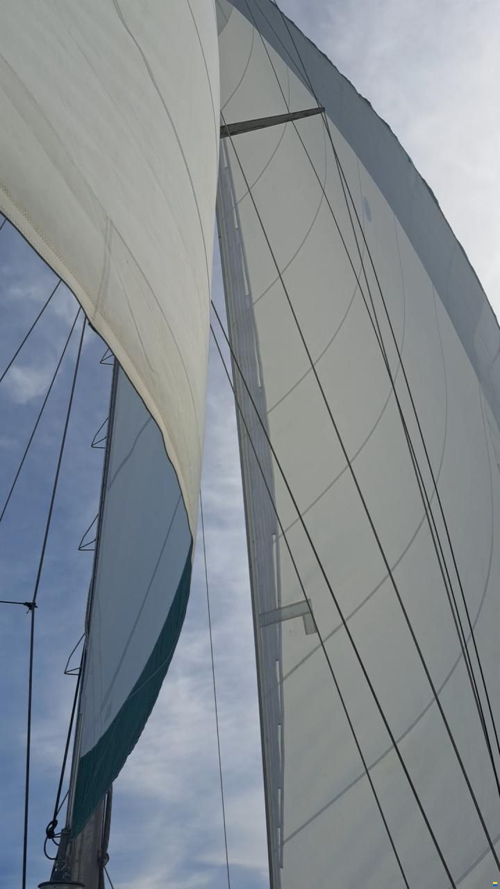 CSY 44 Walkover