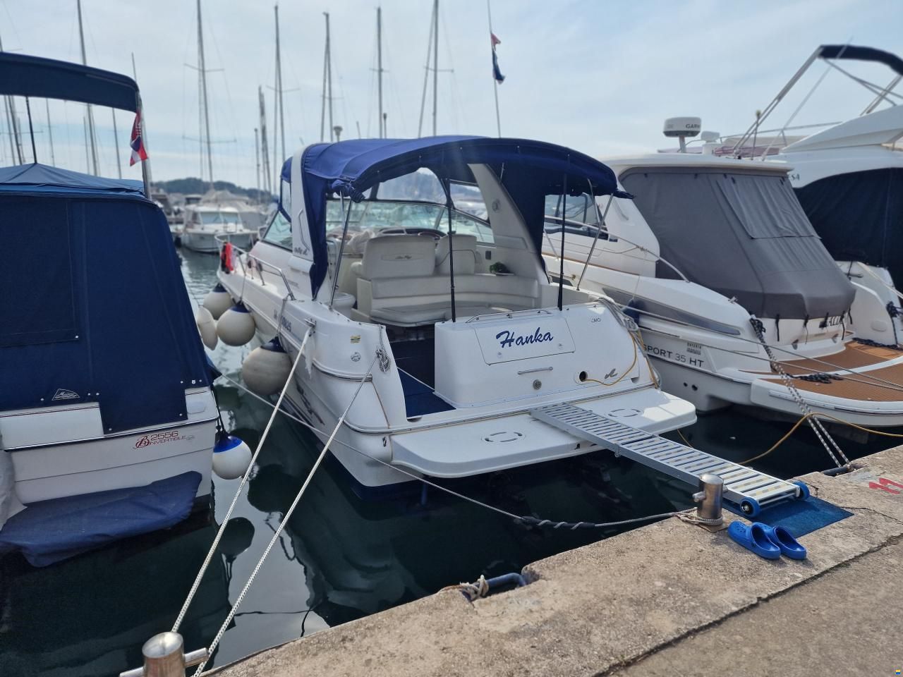 Sea Ray 310